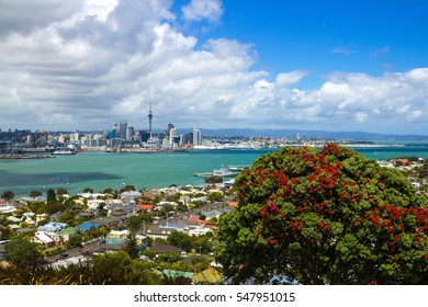 Auckland View From Mt Victoria Devonport