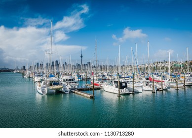 Auckland Westhaven Marina 