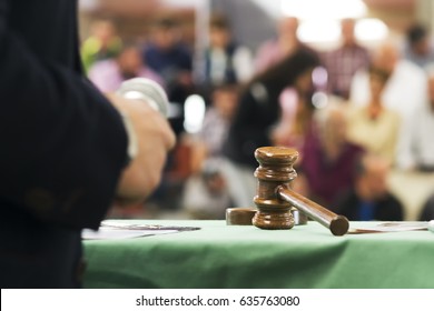   Auction  Bid Sale Judgment Mallet With Public