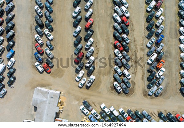 Auction yard terminal lot on car distributed in\
rows a used cars parked
