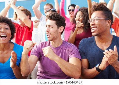 Audience Cheering At Outdoor Concert Performance