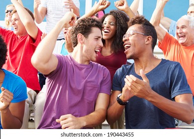 Audience Cheering At Outdoor Concert Performance