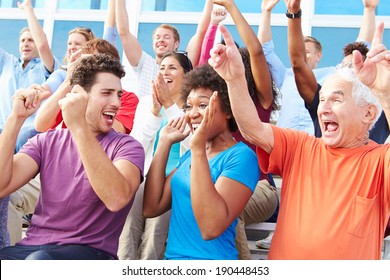 Audience Cheering At Outdoor Concert Performance