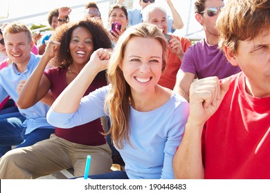 Audience Cheering At Outdoor Concert Performance