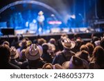 Audience at the Huercasa Country Festival 2017 in Riaza, Segovia, Spain, enjoying live country music performances with a festive atmosphere.