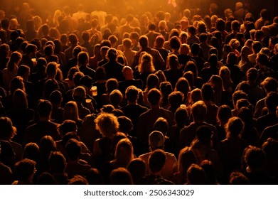 Audience at a live concert