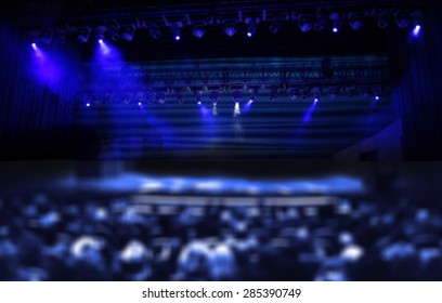 Audience In A Theater, On A Concert Blurred