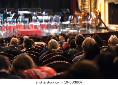 Audience Watching Concert Show In The Theater