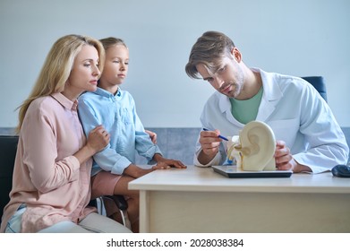 Audiologist Showing The Auditory System Demonstration Model To His Patients