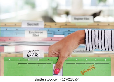 Audit report files or document in businesswoman’s hand
                            