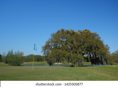 Audubon Park Golf Course In New Orleans With Loyola University In The Distance                               