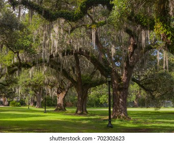 26 Antebellum Men Images, Stock Photos & Vectors | Shutterstock