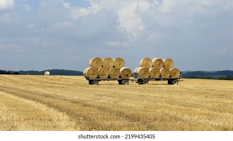 Auf einem abgeernteten Maisfeld stehen zwei große Anhänger mit je sieben runden Heuballen zum Transport bereit, die in der Sonne golden leuchten - Shutterstock ID 2199435405