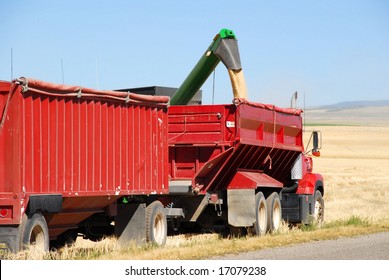 An Auger Loads Grain Into A Truck For Transport To Storage.