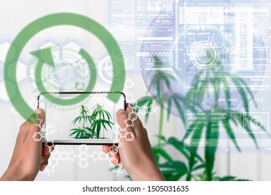 Augmented Reality device using smart technology, augmentation reality through the application of artificial intelligence and computer AI tech assistance for cannabis THC properties and DNA