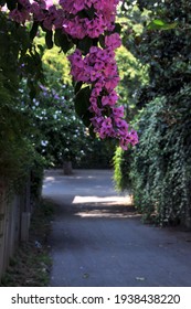 August 11, 2011 
Büyükada, Also Known As The Prince Islands, Is The Largest Of The Islands Off The Coast Of Istanbul.