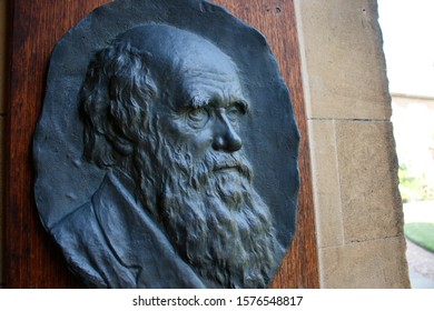 AUGUST 2019 - CAMBRIDGE: Relief With The Portrait Of Charles Darwin, Cambridge University, Cambridge, England.