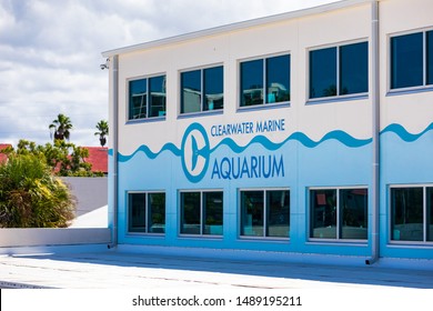 August 24. 2019. Clearwater Marine Aquarium In Clearwater, Florida. Florida's Marine Life Rescue Center. Clearwater, FL, USA.