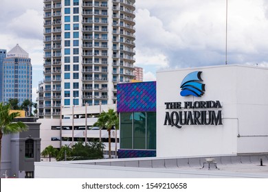 August 24. 2019. Clearwater Marine Aquarium In Clearwater, Florida. Florida's Marine Life Rescue Center. Clearwater, FL, USA.