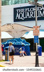 August 24. 2019. Clearwater Marine Aquarium In Clearwater, Florida. Florida's Marine Life Rescue Center. Clearwater, FL, USA.