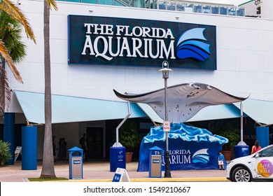 August 24. 2019. Clearwater Marine Aquarium In Clearwater, Florida. Florida's Marine Life Rescue Center. Clearwater, FL, USA.