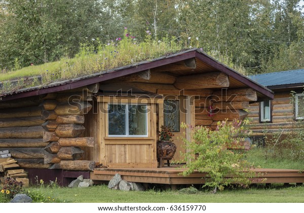 August 25 2016 Sod Roof Log Royalty Free Stock Image