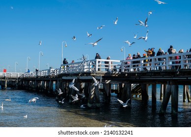 August 30, 2020, Gdask, Poland, View Of The Sopot Embankment On The Baltic Sea. People Feed The Seagull Birds