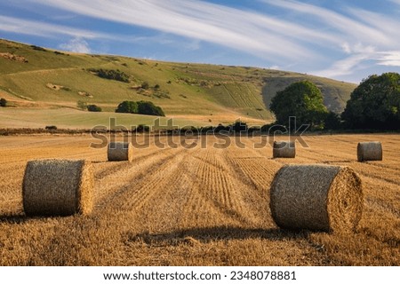 August harvest under the long man of Wilmington on the south downs east Sussex south east England UK