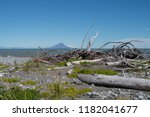 Augustine Island, an active volcano as seen from a beach covered in rocks and driftwood in Katmai National Park
