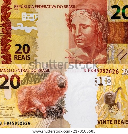 aureate effigy of the symbolic sculpture of the Brazilian Republic, Portrait from Brazil 20 Reais 2010 Banknotes. 