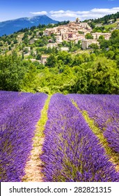 Aurel Little Village  In South Of France With A Lavender Field In Front Of It