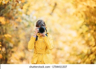 Aurlandsfjellet, Norway. Young Woman Tourist Photographer Taking Pictures Photos Of Autumn Yellow Forest Park. Lady Walking In Fall Park With Yellow Foliage.