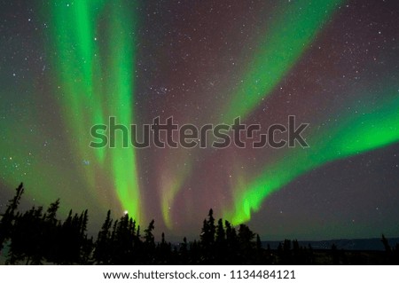 aurora in alaska