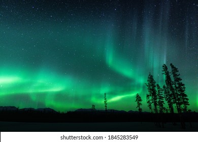 Aurora Boreal In Whitehorse Yukon Canada