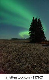 Aurora Borealis 1