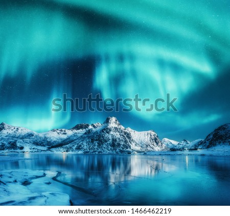 Aurora borealis above snowy mountains, frozen sea coast and reflection in water in Lofoten islands, Norway. Northern lights. Winter landscape with polar lights, ice in water. Sky with stars and aurora
