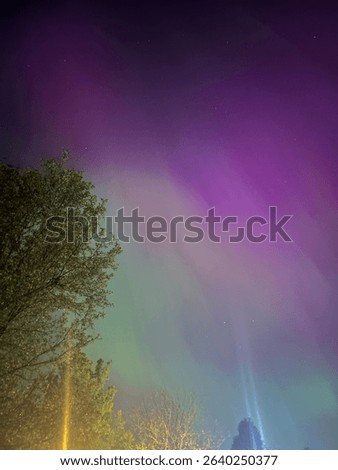 Aurora borealis bursting in a shower-like display with bright pink and purple hues above and vivid neon green lighting the base of the sky.