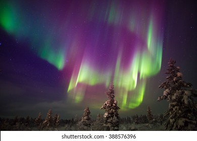 Aurora Borealis (northern Lights) In Lapland, Finland.