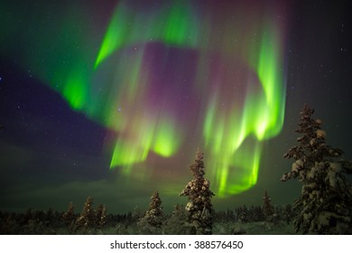 Aurora Borealis (northern Lights) In Lapland, Finland.