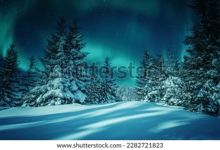 Aurora borealis over the frosty forest. Green northern lights above mountains. Night nature landscape with polar lights. Night winter landscape with aurora. Creative image. winter holiday concept