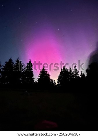 Similar – Image, Stock Photo Aurora over trees in winter in Kuusamo, Finland