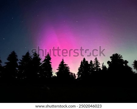 Similar – Image, Stock Photo Aurora over trees in winter in Kuusamo, Finland