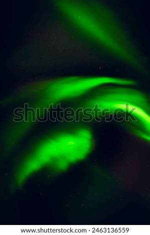 Aurora borealis spectacular show form of bird pattern object in clear blue night sky in Iceland