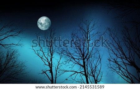 Aurora borealis, starry night sky and full moon landscape. bottom up view aurora and tree branches