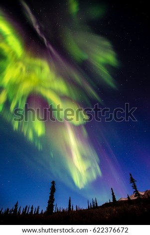 aurora dance