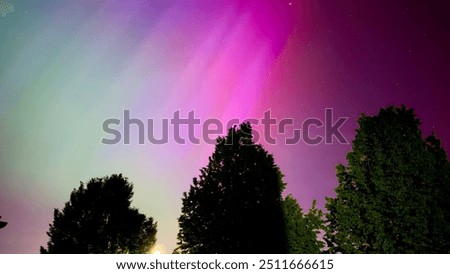 Similar – Image, Stock Photo Aurora over trees in winter in Kuusamo, Finland