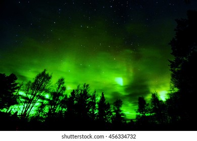 Aurora
Rovaniemi  Finland