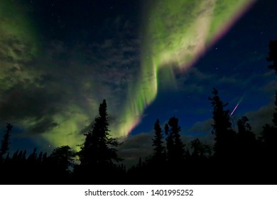 Aurora And Shooting Star Over Forest In The Northwest Territories, Canada