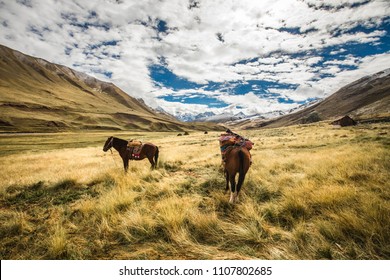 Ausangate Trek, Cusco - Peru