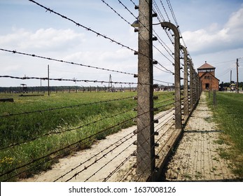 Auschwitz And Birkenau A Painful History 